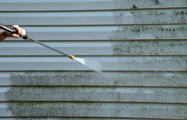 Best Dumpster Area Cleaning  in Redwater, TX